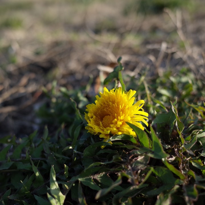 a0268412_21382235.jpg