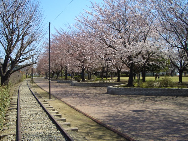 駅からハイキング 寒川町 2016.4.9-6.30_d0240916_16563237.jpg