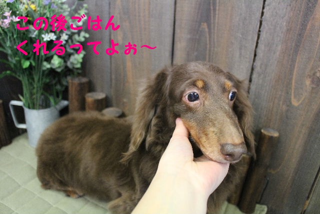 寝不足でも。。。_b0130018_22253294.jpg