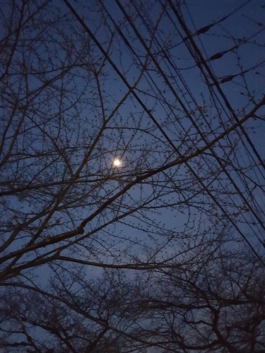 e0016828_10233301.jpg