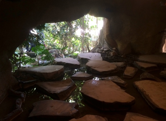 パリ植物園の大温室 グランド・セール_a0231632_05221340.jpg