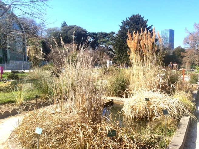 パリ植物園の大温室 グランド・セール_a0231632_23185550.jpg