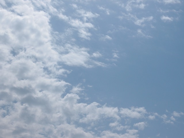 c0354352_17283631.jpg