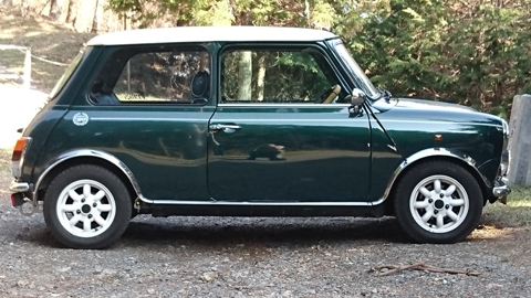 キャメルオート製 ちょっとオバフェン4.5 ローバーミニ