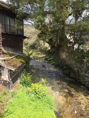 秋月へおでかけ*_a0335560_22163003.jpg