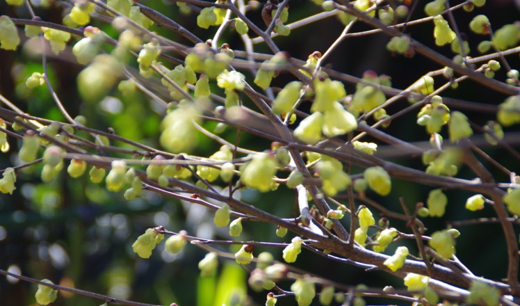c0144185_21401541.jpg