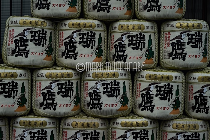 瑞鷹(ずいよう)_e0135098_8495125.jpg