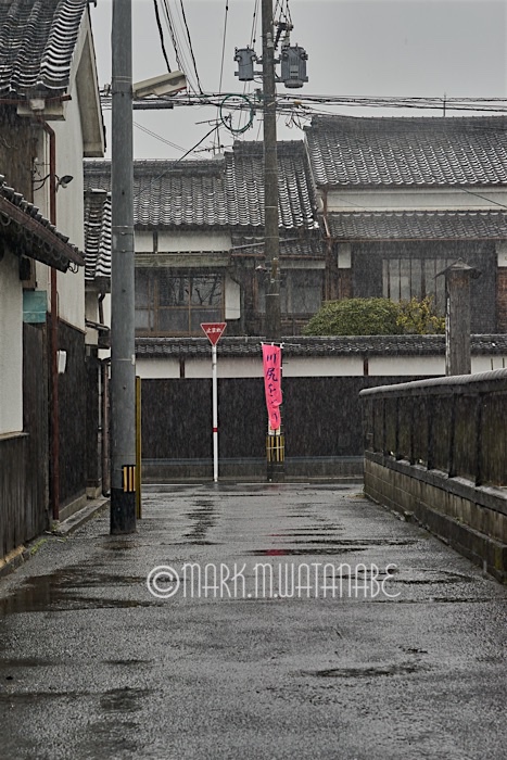 瑞鷹(ずいよう)_e0135098_850168.jpg