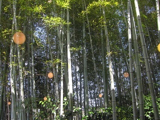 c0152002_18454586.jpg