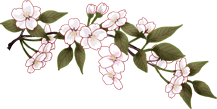 カレーパン大好きですよ_e0350905_13432392.gif