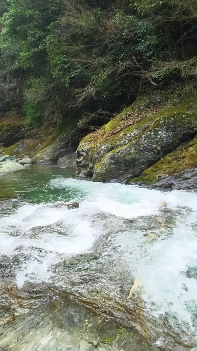d0127406_02001591.jpg