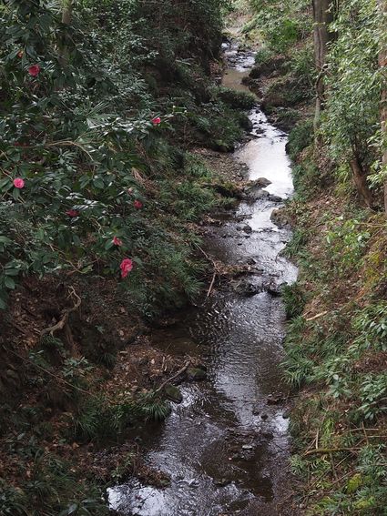 c0156908_6413937.jpg