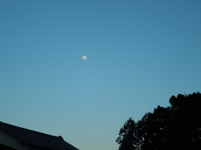 f0297809_2056221.jpg