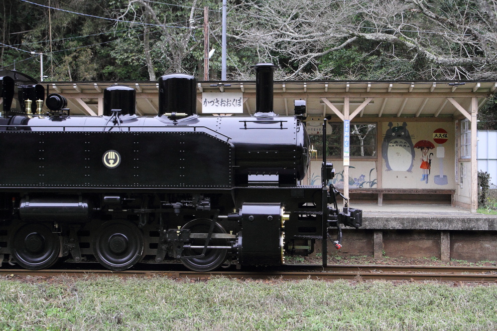 トトロの駅に黒い機関車がやってきた - 2016年・小湊鐵道 - _b0190710_22373940.jpg