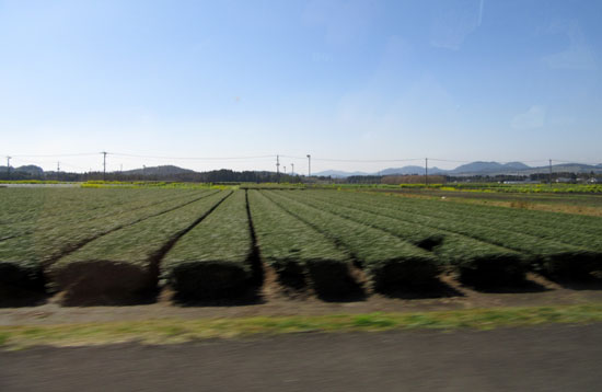 鹿児島の旅2_e0048413_196363.jpg