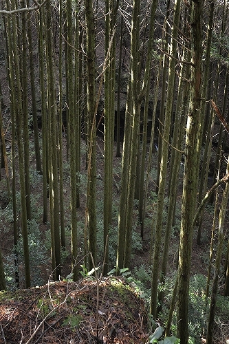 c0168815_22400216.jpg