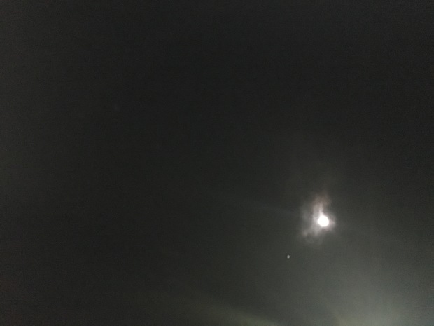 e0172219_21481640.jpeg
