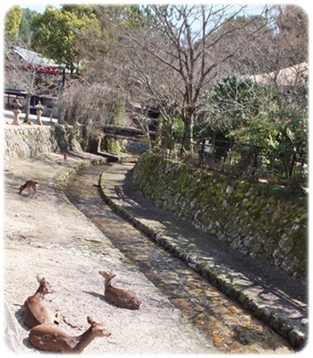 e0136420_16110807.jpg