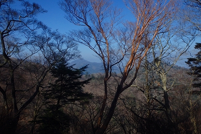 鮎の瀬新道~天主山~一夜畑~鮎の瀬新道周回_f0193521_11424021.jpg