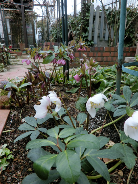 b0128423_0323788.jpg