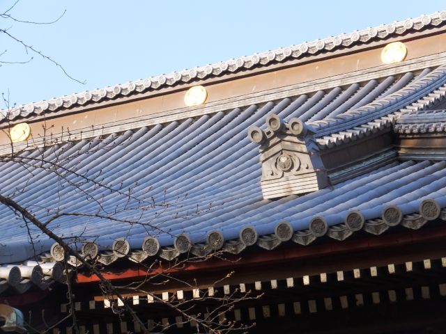 a0166324_2353374.jpg