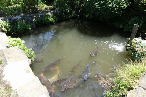 b0042334_16195821.jpg