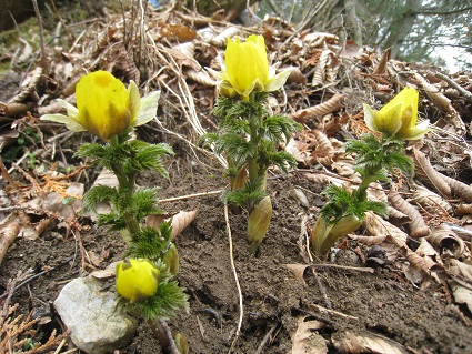 c0077338_9335090.jpg