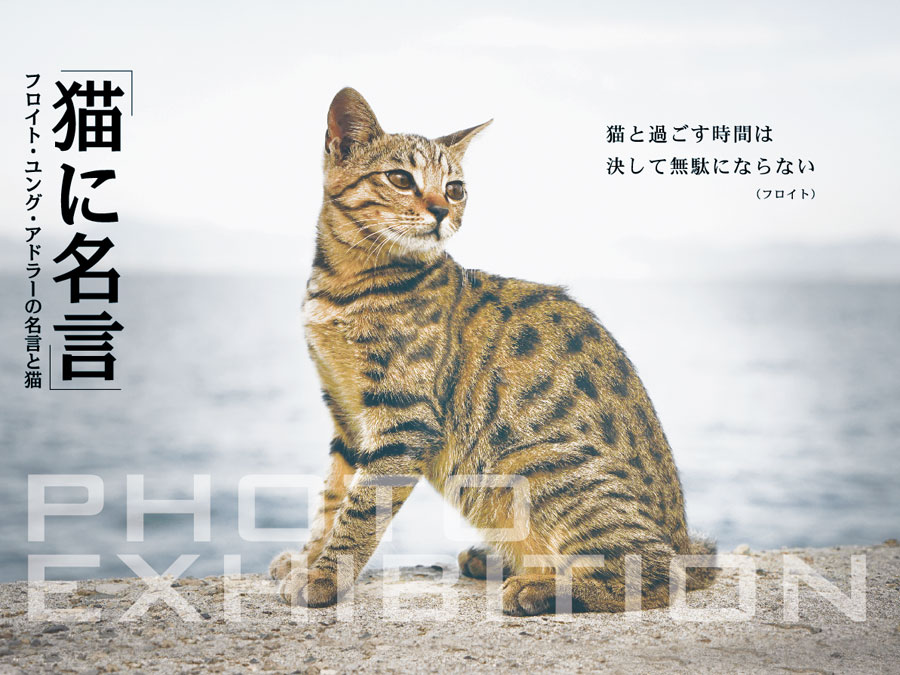 「猫に名言」写真展 　-フロイト・ユング・アドラーの名言と猫-_c0194541_133577.jpg