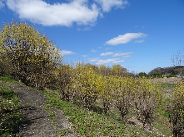 b0299042_20492035.jpg