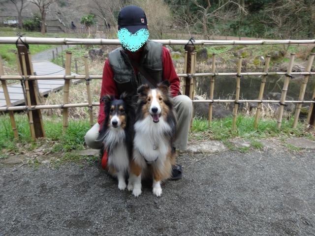 野鳥がいるお池の公園へドライブ_e0195743_2218414.jpg