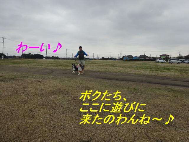 泳いで走って、楽しいお宿@千葉・1日目_e0195743_3345172.jpg
