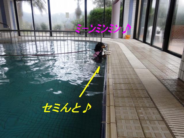 泳いで走って、楽しいお宿＠千葉･１日目_e0195743_3371317.jpg