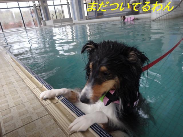 泳いで走って、楽しいお宿＠千葉･１日目_e0195743_3372855.jpg