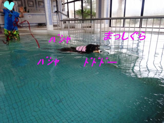 泳いで走って、楽しいお宿＠千葉･１日目_e0195743_337349.jpg