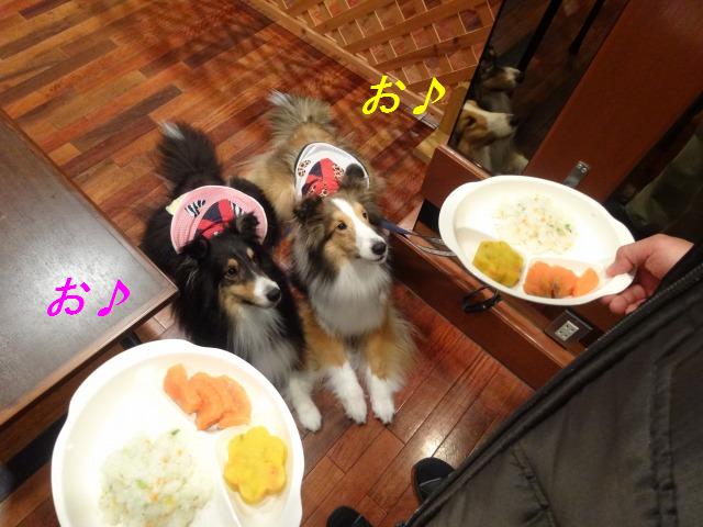 泳いで走って、楽しいお宿@千葉・1日目_e0195743_3391046.jpg