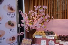 臨床犯罪学者 火村英生の推理 最終回「衝撃のラスト!火村とアリス永遠の別れ!?&重大発表あります」_e0080345_9331394.jpg