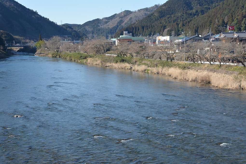 a0055650_16422451.jpg