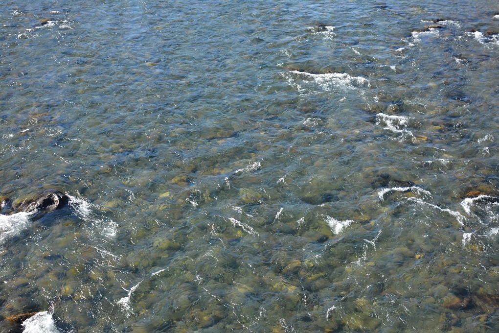a0055650_16443879.jpg