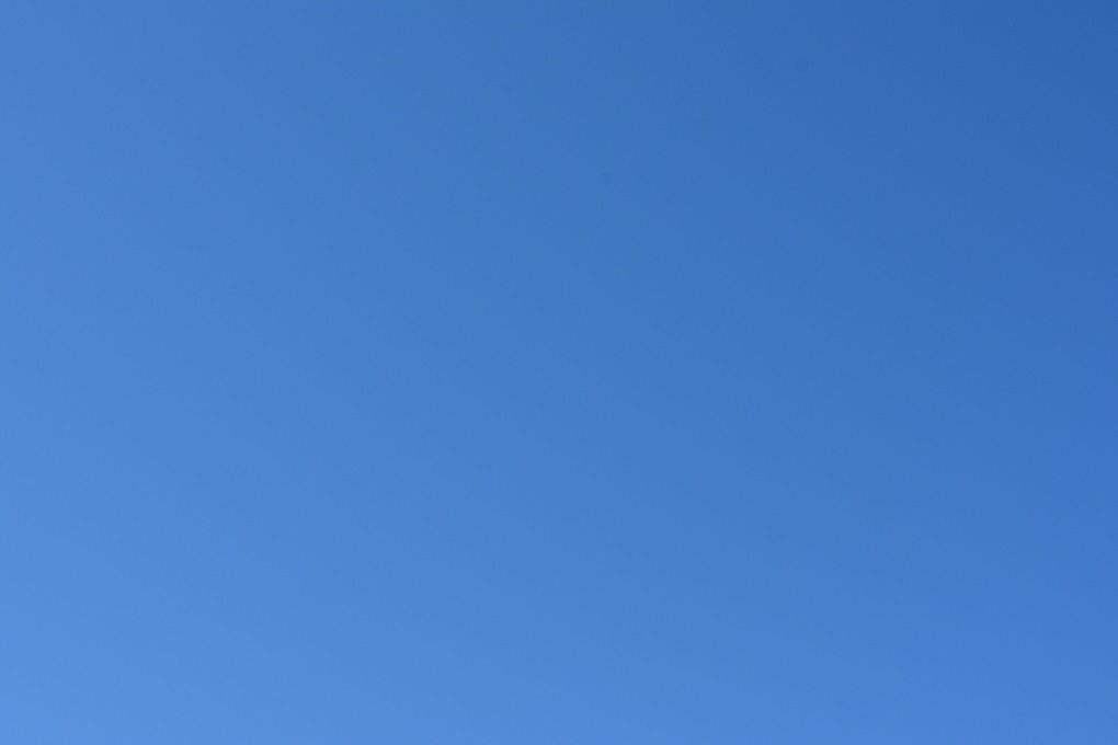 a0055650_16471923.jpg