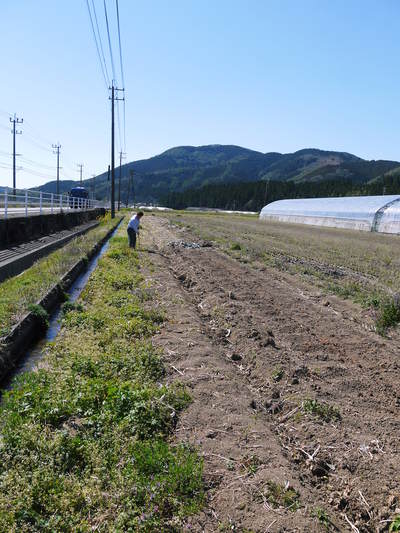 無農薬栽培の『秋ウコン』の販売に向け、現地取材してきました!!_a0254656_17421346.jpg