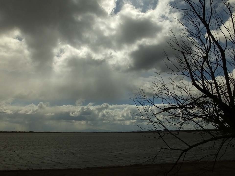 e0220159_18095254.jpg