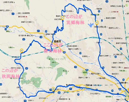 a0208560_18382450.png