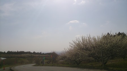 a0208560_1839281.jpg