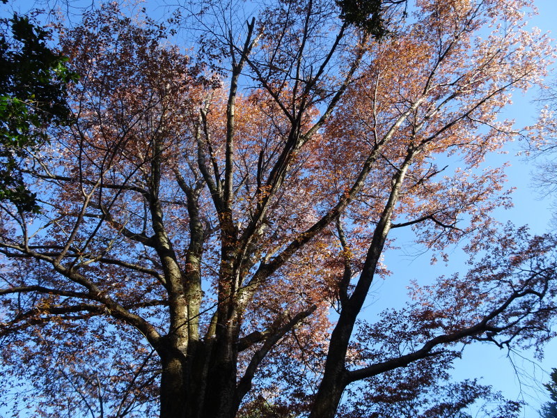 c0108460_23404865.jpg