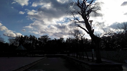 c0190960_21122216.jpg