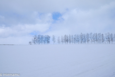 雪解けの北瑛～3月の美瑛_d0340565_19492353.jpg