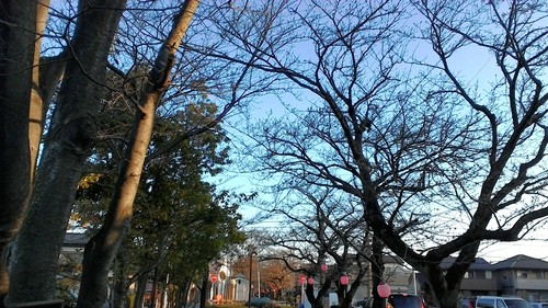 f0008966_842179.jpg