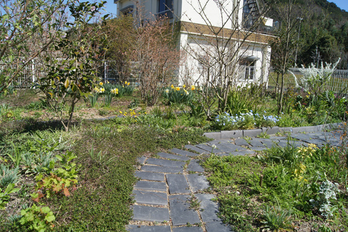 e0181373_21555485.jpg