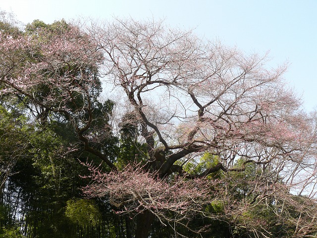 d0019074_8584596.jpg