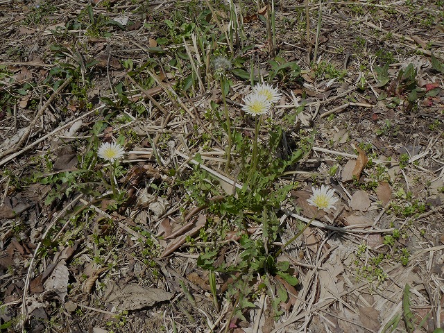d0019074_924369.jpg